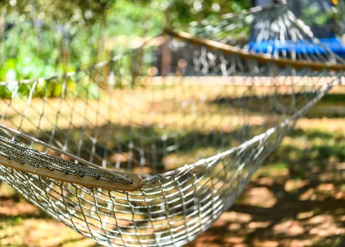 David Apartman Kavran